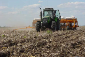 Río Cuarto: crece el trigo en la campaña 25/26 por mejora hídrica y buenos márgenes
