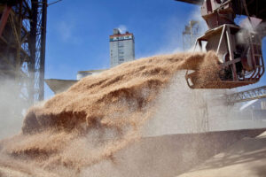 Récord en el agro: Córdoba y el país liquidaron U$S 4.100 millones en julio 2025