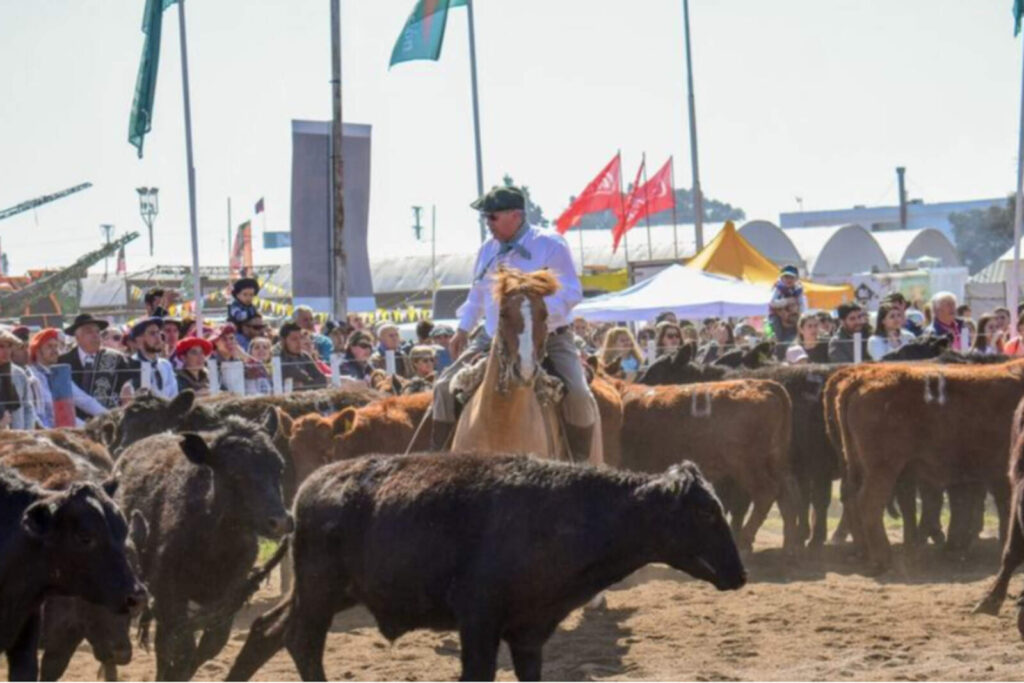 Jesús María alista su Expo Rural: récord de expositores y gran variedad de actividades