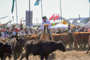 Jesús María alista su Expo Rural: récord de expositores y gran variedad de actividades