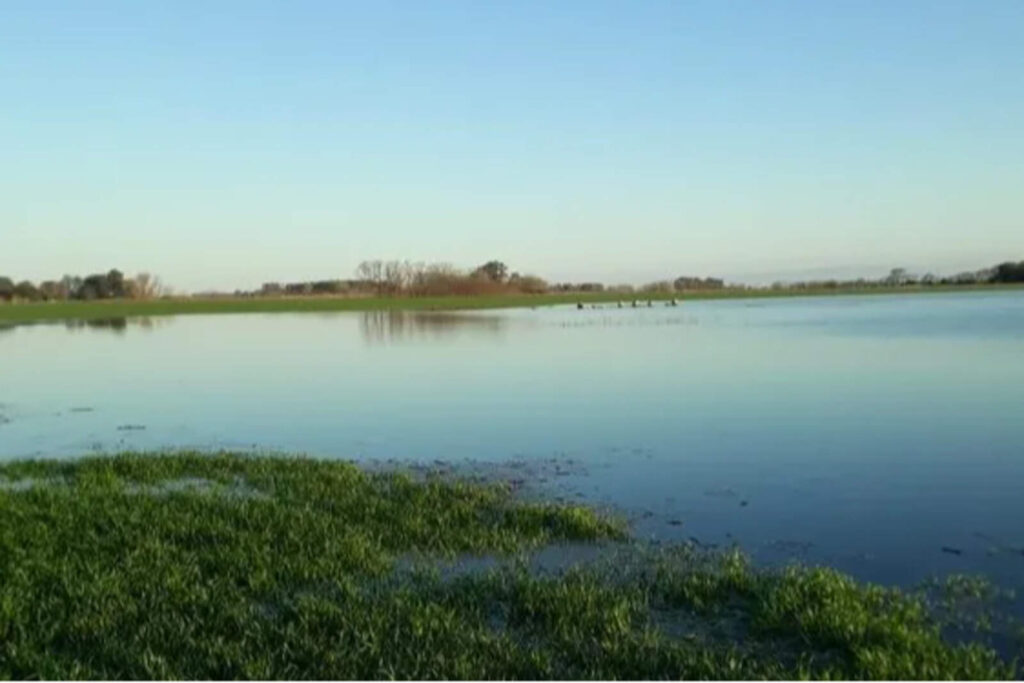 Córdoba: las lluvias beneficiaron al trigo, pero hay dudas para la siembra de maíz