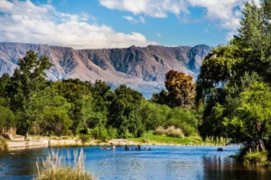 Más de 1,4 millones de turistas viajaron por el feriado del 25 de Mayo