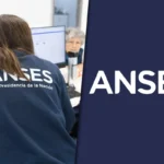 ANSES confirmó los pagos de este lunes 8 de junio: quiénes cobran